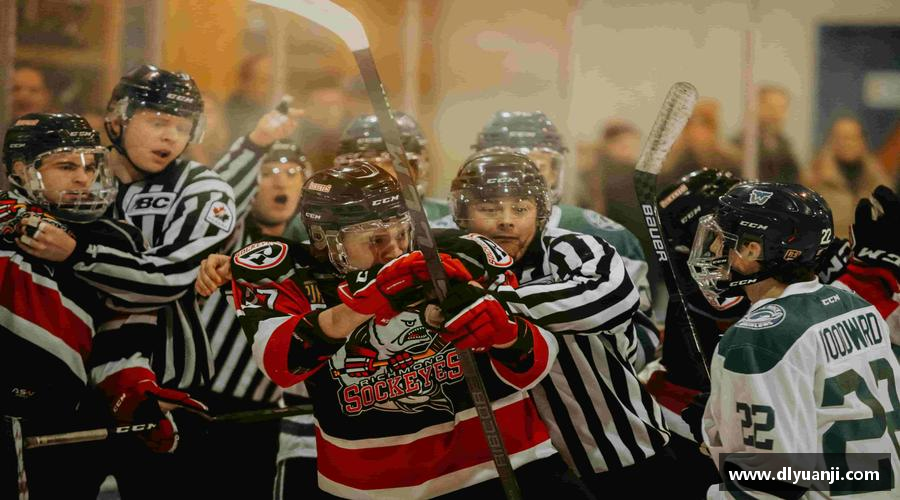 发现金年会注册登录